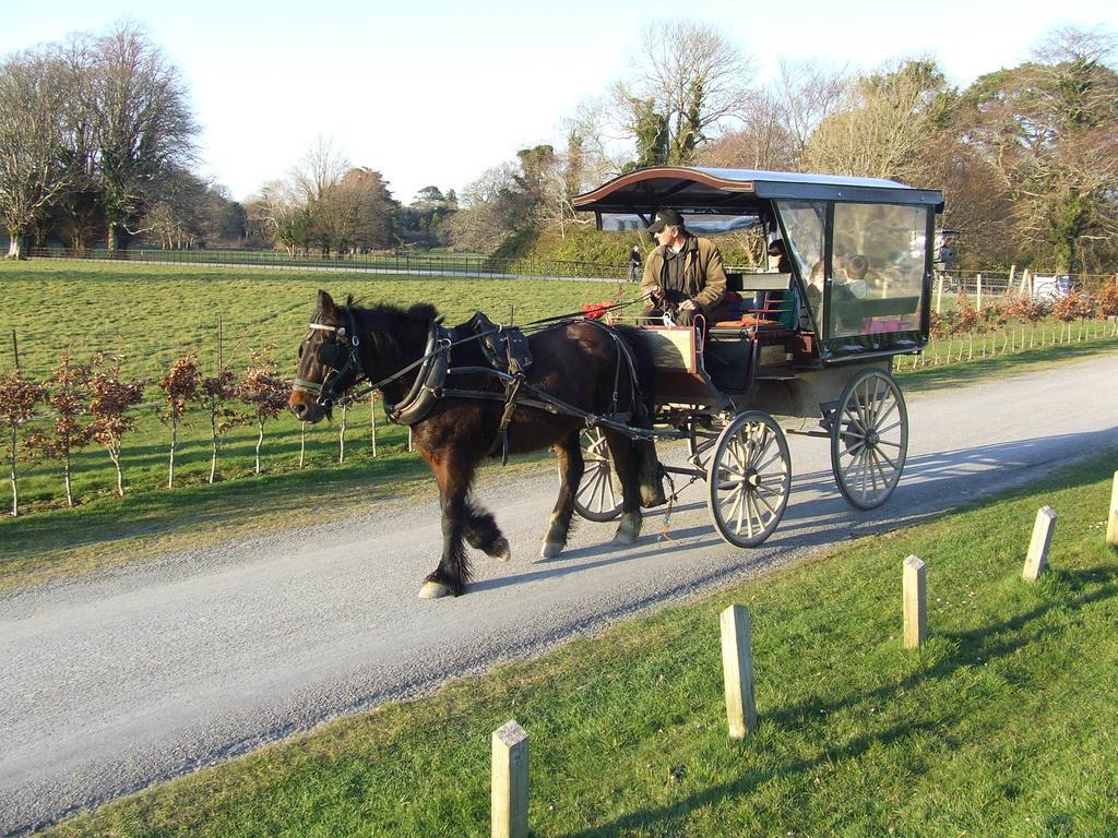 Rockfield House B&B Killarney Exterior photo